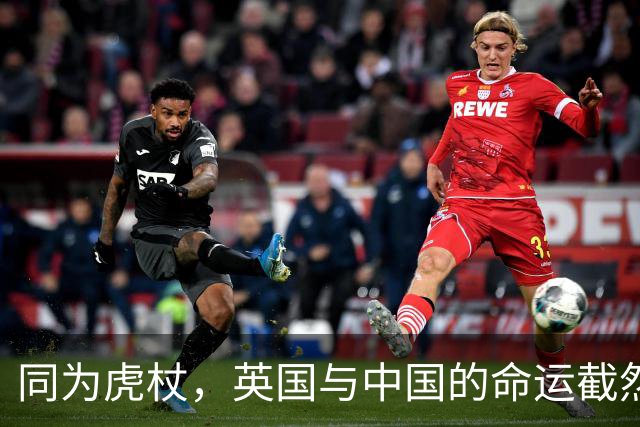 同为虎杖，英国与中国的命运截然相反